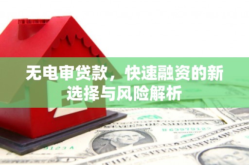 云龙无电审贷款，快速融资的新选择与风险解析