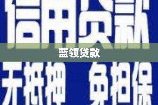 云龙蓝领贷款