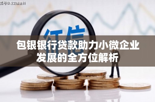 云龙包银银行贷款助力小微企业发展的全方位解析
