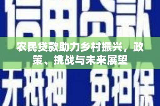 云龙农民贷款助力乡村振兴，政策、挑战与未来展望