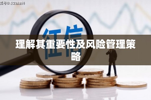 云龙理解其重要性及风险管理策略