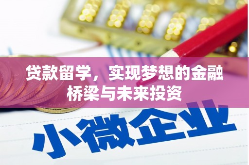 云龙贷款留学，实现梦想的金融桥梁与未来投资