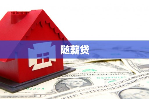 云龙随薪贷
