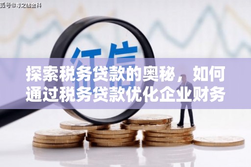 云龙探索税务贷款的奥秘，如何通过税务贷款优化企业财务