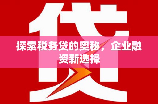 云龙探索税务贷的奥秘，企业融资新选择