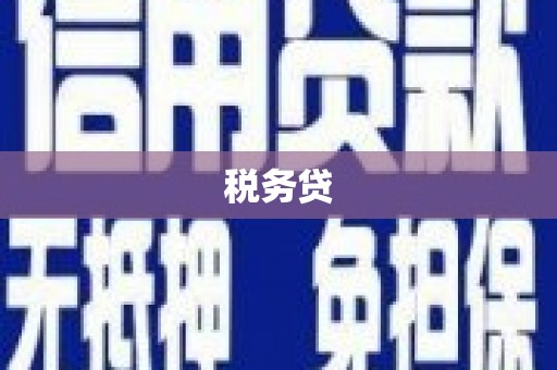 云龙税务贷