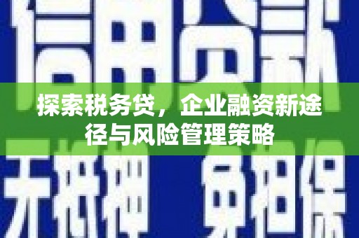 云龙探索税务贷，企业融资新途径与风险管理策略