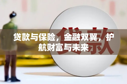 云龙贷款与保险，金融双翼，护航财富与未来