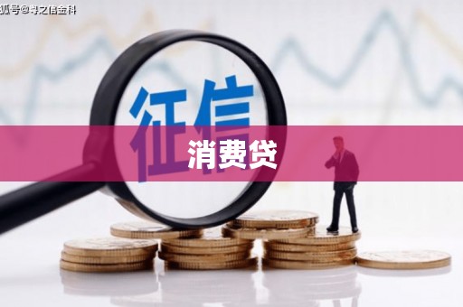 云龙消费贷
