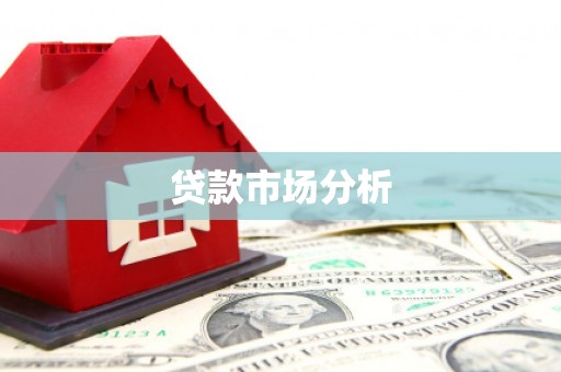 云龙贷款市场分析