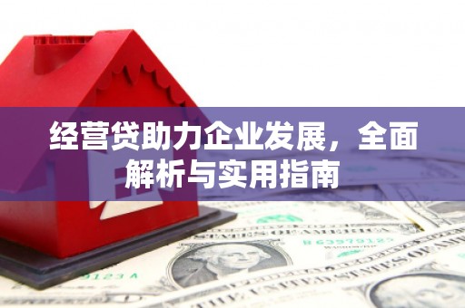 云龙经营贷助力企业发展，全面解析与实用指南