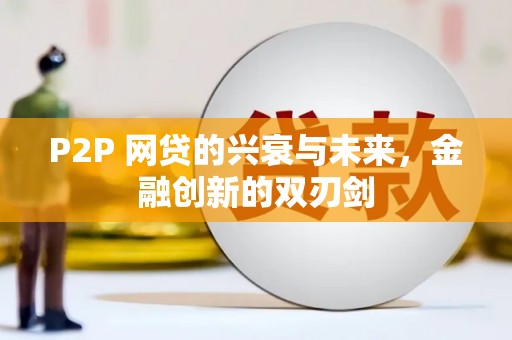 云龙P2P 网贷的兴衰与未来，金融创新的双刃剑