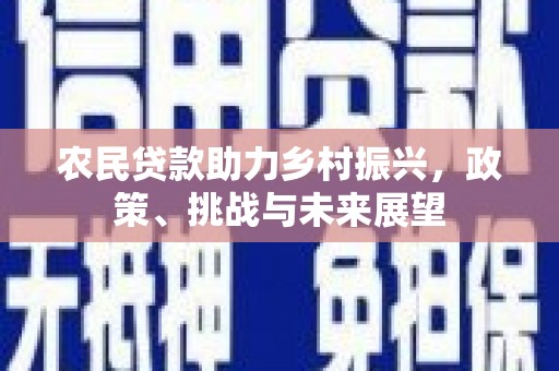 云龙农民贷款助力乡村振兴，政策、挑战与未来展望