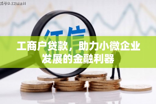云龙工商户贷款，助力小微企业发展的金融利器