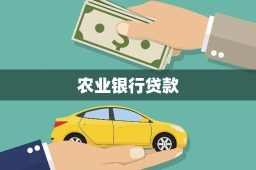 云龙农业银行贷款