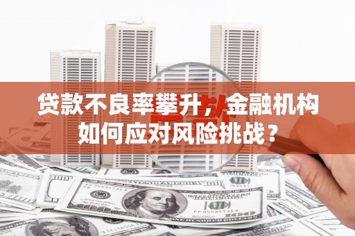 云龙贷款不良率攀升，金融机构如何应对风险挑战？
