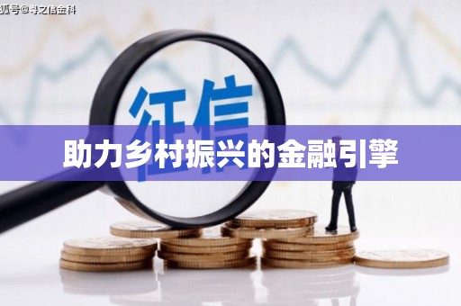 云龙助力乡村振兴的金融引擎