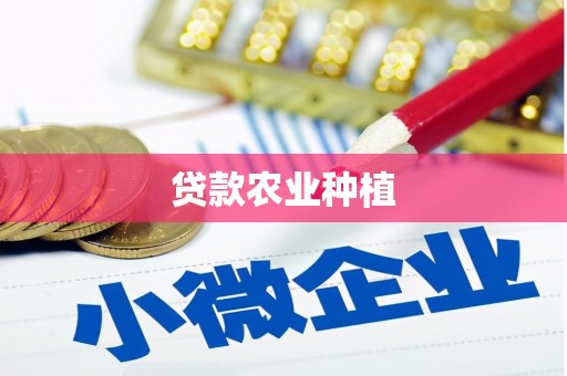 云龙贷款农业种植