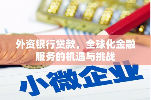 云龙外资银行贷款，全球化金融服务的机遇与挑战