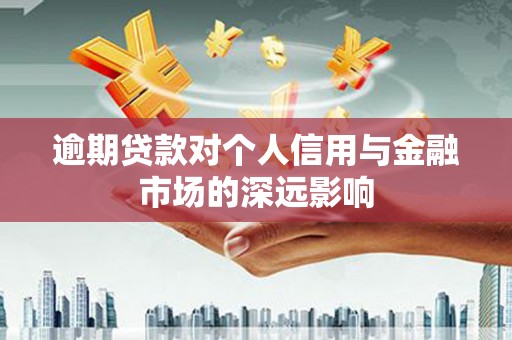 云龙逾期贷款对个人信用与金融市场的深远影响
