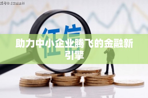 云龙助力中小企业腾飞的金融新引擎