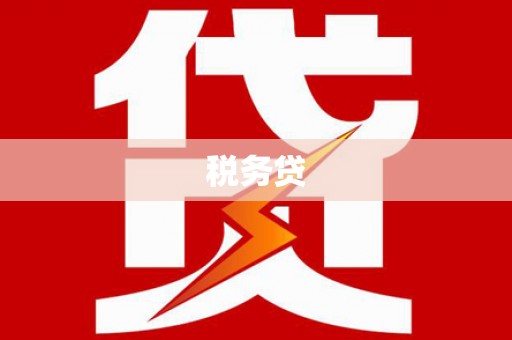 云龙税务贷