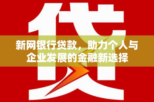 云龙新网银行贷款，助力个人与企业发展的金融新选择