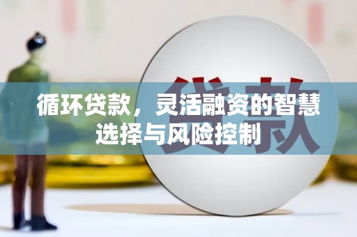 云龙循环贷款，灵活融资的智慧选择与风险控制