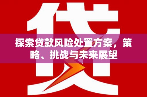 云龙探索贷款风险处置方案，策略、挑战与未来展望