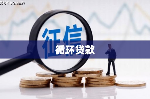 云龙循环贷款
