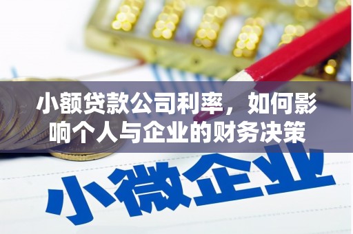 云龙小额贷款公司利率，如何影响个人与企业的财务决策