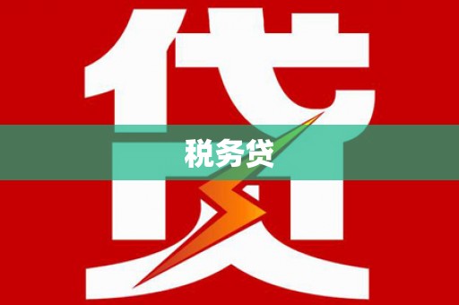 云龙税务贷