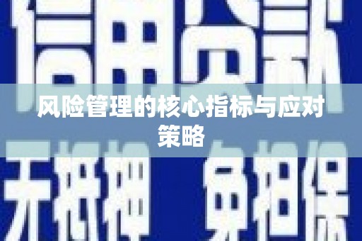 云龙风险管理的核心指标与应对策略