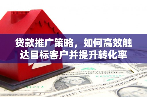 云龙贷款推广策略，如何高效触达目标客户并提升转化率