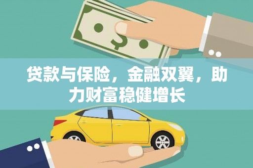 云龙贷款与保险，金融双翼，助力财富稳健增长