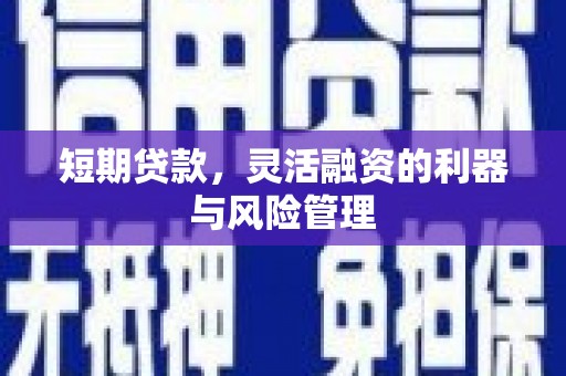 云龙短期贷款，灵活融资的利器与风险管理