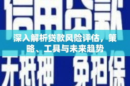 云龙深入解析贷款风险评估，策略、工具与未来趋势