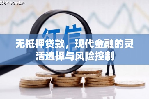 云龙无抵押贷款，现代金融的灵活选择与风险控制