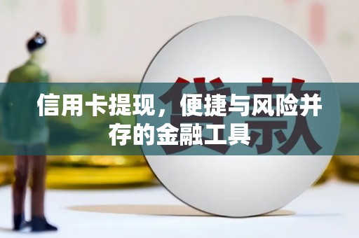 云龙信用卡提现，便捷与风险并存的金融工具