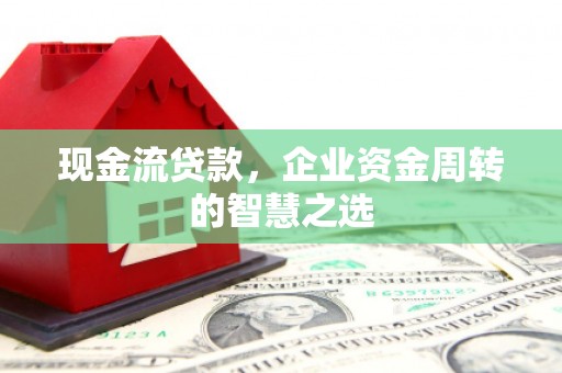 云龙现金流贷款，企业资金周转的智慧之选