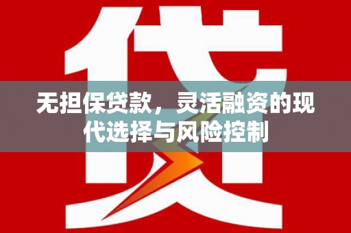 云龙无担保贷款，灵活融资的现代选择与风险控制