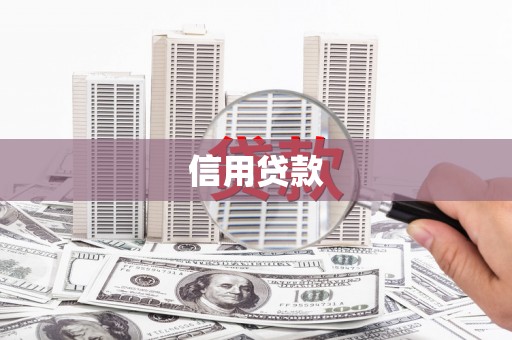 云龙信用贷款