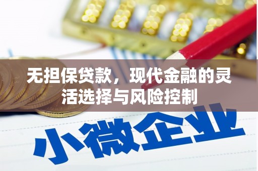 云龙无担保贷款，现代金融的灵活选择与风险控制