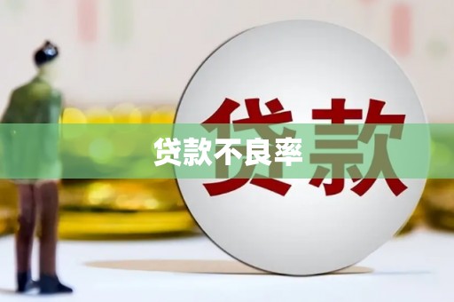 云龙贷款不良率