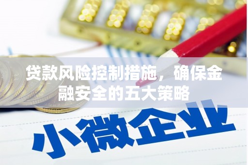 云龙贷款风险控制措施，确保金融安全的五大策略