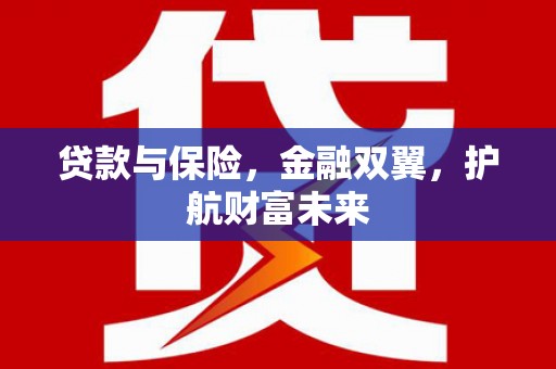云龙贷款与保险，金融双翼，护航财富未来