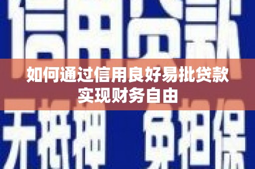云龙如何通过信用良好易批贷款实现财务自由