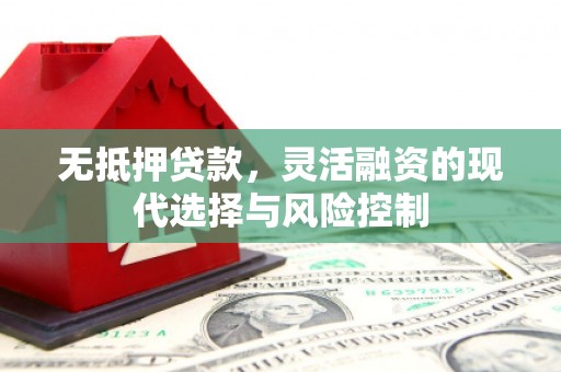 云龙无抵押贷款，灵活融资的现代选择与风险控制