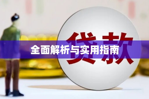 云龙全面解析与实用指南