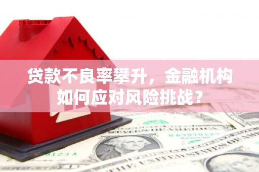 云龙贷款不良率攀升，金融机构如何应对风险挑战？